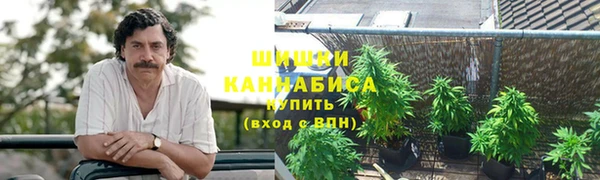 ГАЛЛЮЦИНОГЕННЫЕ ГРИБЫ Бронницы