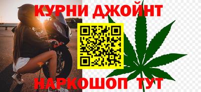 сатива Апшеронск