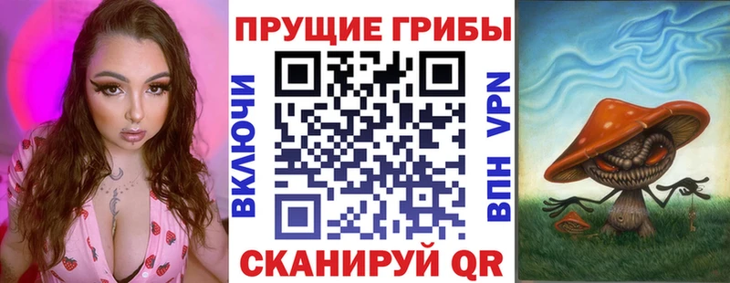 Галлюциногенные грибы ЛСД  закладки  Тавда 