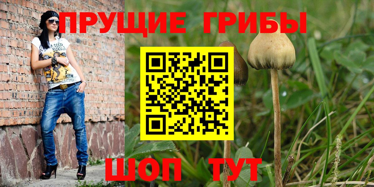 Галлюциногенные грибы мухоморы Тавда