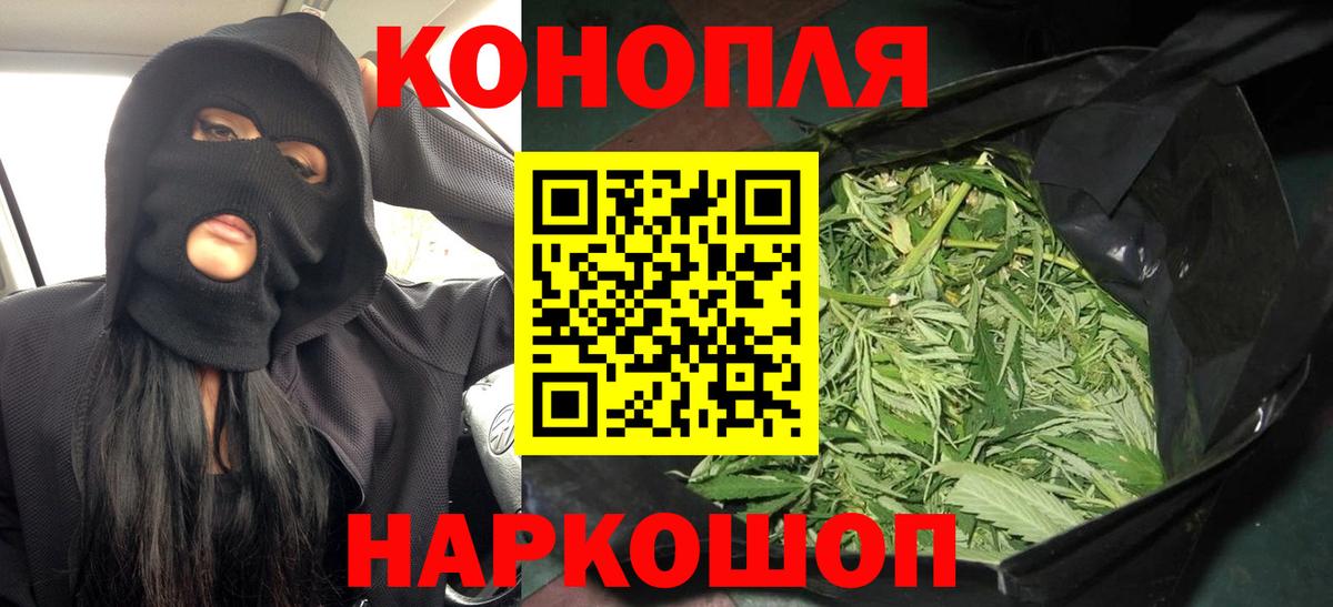 Бошки Шишки семена  Каннабис индика  Тавда  Конопля ГИДРОПОН  Вход с VPN 