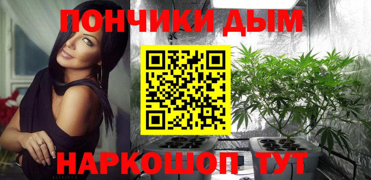 Шишки марихуана сатива Тавда